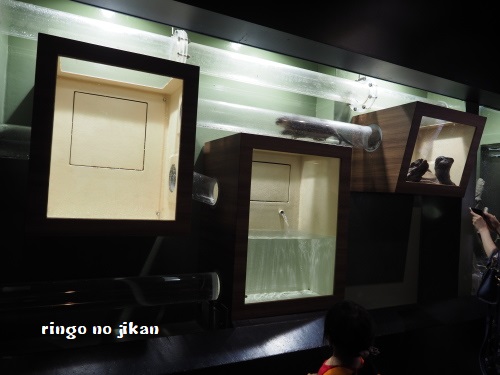 f:id:ringo_co:20180623005112j:plain