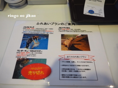 f:id:ringo_co:20180623103636j:plain