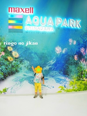 f:id:ringo_co:20180623105142j:plain