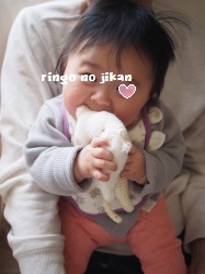 f:id:ringo_co:20180630152314j:plain f:id:ringo_co:20180630152314j:plain