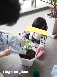 f:id:ringo_co:20180703143000j:plain