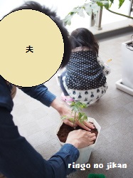 f:id:ringo_co:20180703143007j:plain