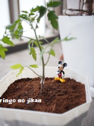 f:id:ringo_co:20180703143016j:plain