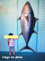 f:id:ringo_co:20180703155528j:plain f:id:ringo_co:20180703155528j:plain