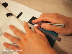 f:id:ringo_co:20180703155618j:plain f:id:ringo_co:20180703155618j:plain