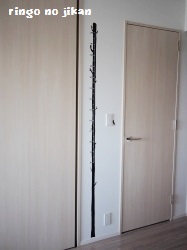 f:id:ringo_co:20180703155714j:plain f:id:ringo_co:20180703155714j:plain