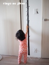 f:id:ringo_co:20180703155743j:plain f:id:ringo_co:20180703155743j:plain