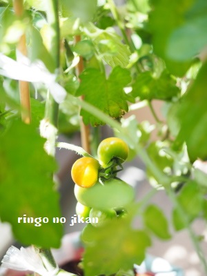 f:id:ringo_co:20180704052945j:plain