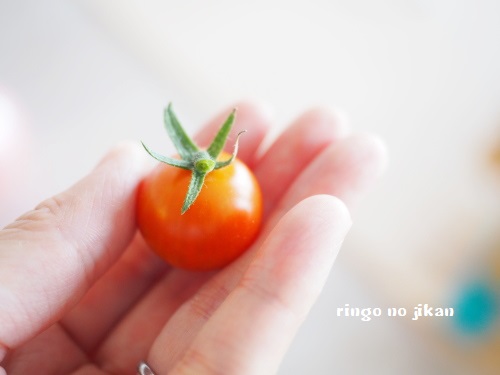 f:id:ringo_co:20180704053103j:plain