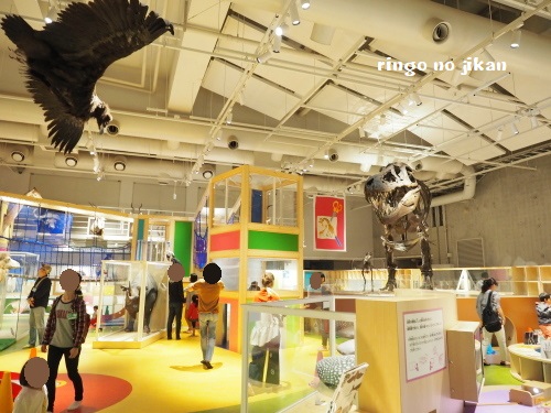 f:id:ringo_co:20180705054317j:plain