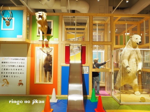 f:id:ringo_co:20180705054344j:plain