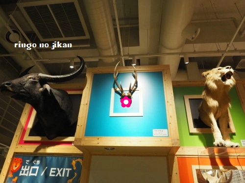 f:id:ringo_co:20180705054441j:plain