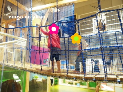 f:id:ringo_co:20180705054444j:plain