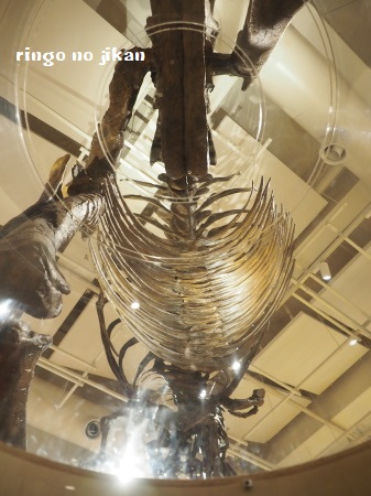 f:id:ringo_co:20180705054617j:plain