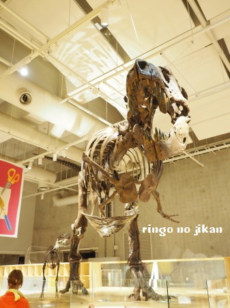 f:id:ringo_co:20180705054624j:plain