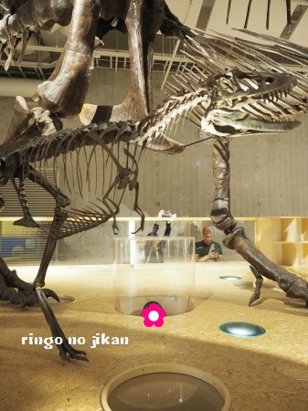 f:id:ringo_co:20180705054805j:plain