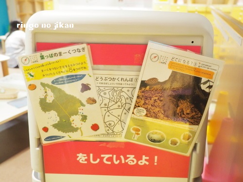 f:id:ringo_co:20180705054927j:plain