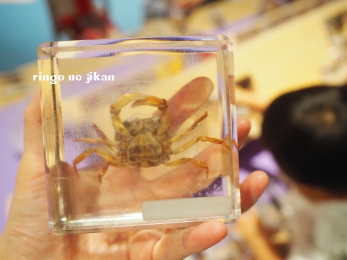 f:id:ringo_co:20180705055128j:plain