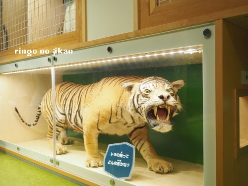 f:id:ringo_co:20180705055234j:plain