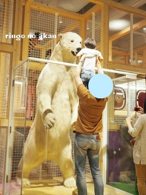 f:id:ringo_co:20180706134349j:plain