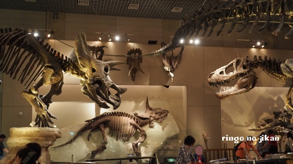 f:id:ringo_co:20180708080710j:plain