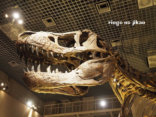 f:id:ringo_co:20180708080853j:plain