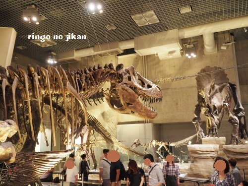 f:id:ringo_co:20180708081017j:plain