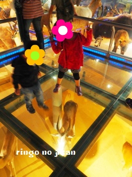 f:id:ringo_co:20180708081607j:plain