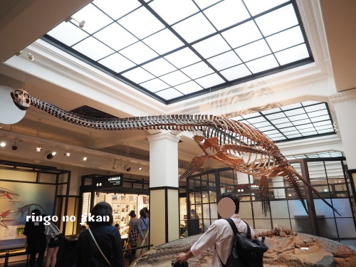 f:id:ringo_co:20180708082000j:plain