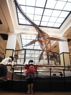 f:id:ringo_co:20180708082025j:plain