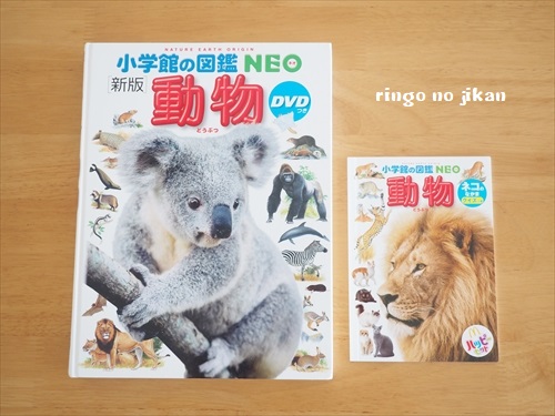 f:id:ringo_co:20180720121524j:plain f:id:ringo_co:20180720121524j:plain