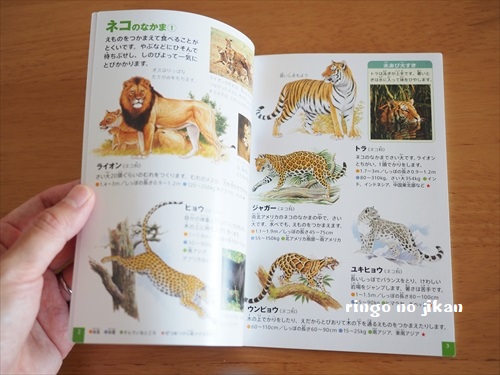 f:id:ringo_co:20180720121700j:plain f:id:ringo_co:20180720121700j:plain