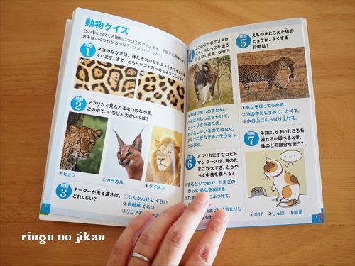 f:id:ringo_co:20180720121915j:plain f:id:ringo_co:20180720121915j:plain