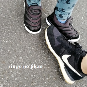f:id:ringo_co:20181009110709j:plain