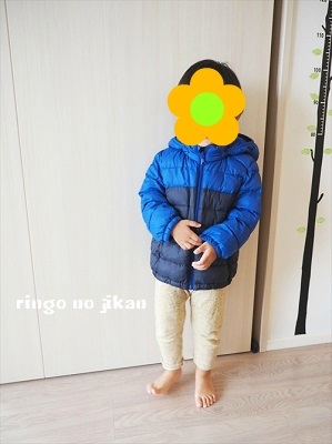 f:id:ringo_co:20181012062413j:plain