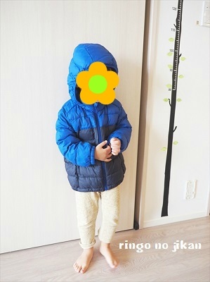 f:id:ringo_co:20181012062434j:plain