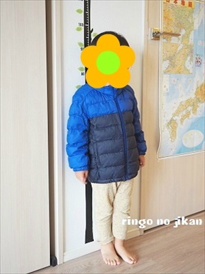 f:id:ringo_co:20181012062446j:plain