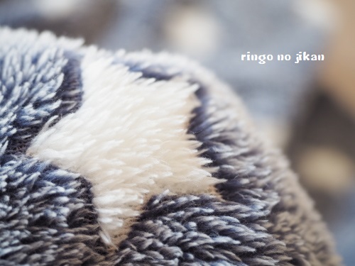 f:id:ringo_co:20181114134358j:plain f:id:ringo_co:20181114134358j:plain