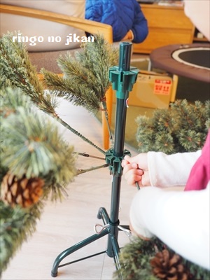 f:id:ringo_co:20181118234824j:plain