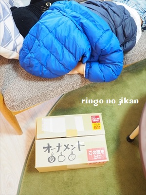 f:id:ringo_co:20181118234939j:plain