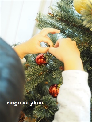f:id:ringo_co:20181118235051j:plain