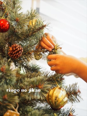 f:id:ringo_co:20181118235102j:plain