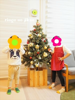 f:id:ringo_co:20181118235126j:plain