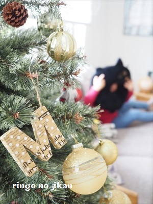 f:id:ringo_co:20181119224620j:plain