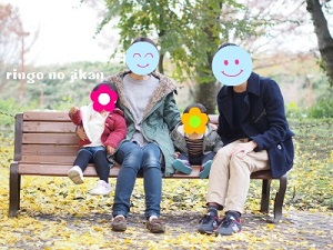 f:id:ringo_co:20181124232800j:plain f:id:ringo_co:20181124232800j:plain