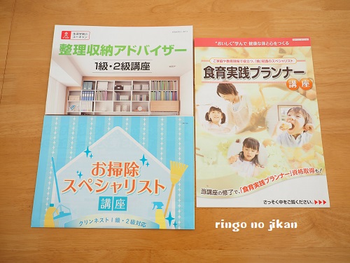 f:id:ringo_co:20190102000448j:plain