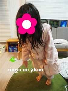 f:id:ringo_co:20190105070523j:plain