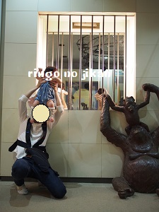 f:id:ringo_co:20190107001424j:plain f:id:ringo_co:20190107001424j:plain
