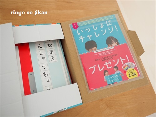 f:id:ringo_co:20190114011908j:plain