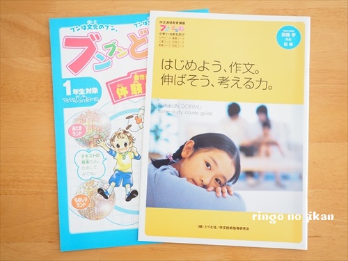 通信教材】年中しーちゃんの年長での取り組みについて考える